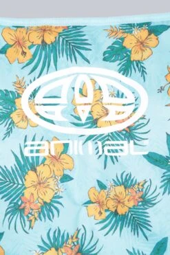 Animal Padded Beach Chair 4 Animal Padded Beach Chair -MOUTAIN WAREHOUSE 049421 aqa animal padded beach chair anl ss23 07