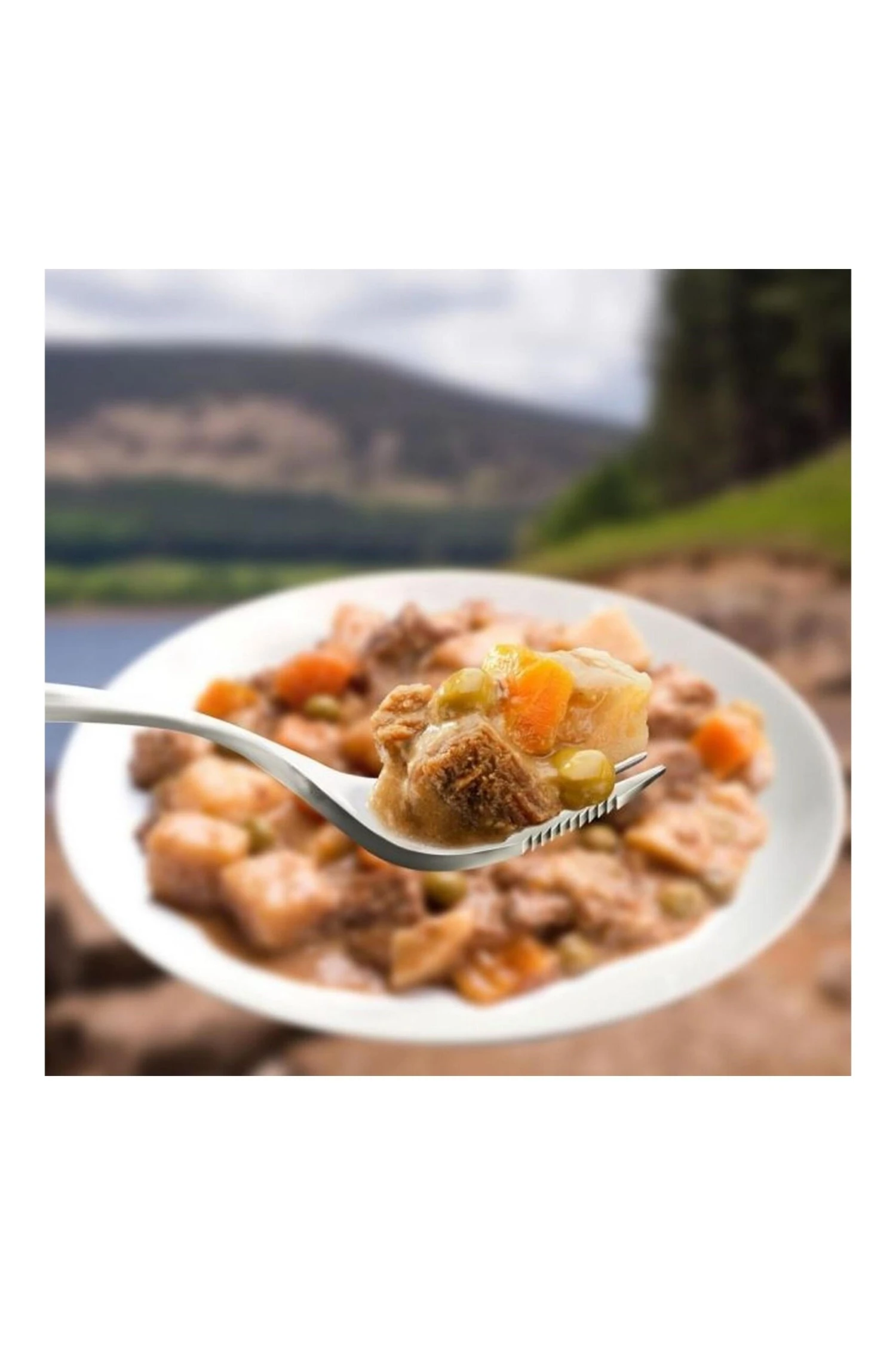 Steak & Vegetables 300g Eat Hot or Cold Steak & Vegetables 300g Eat Hot Or Cold -MOUTAIN WAREHOUSE m04766 001 steakvegetables300geathotorcold20230303053625 2 scaled