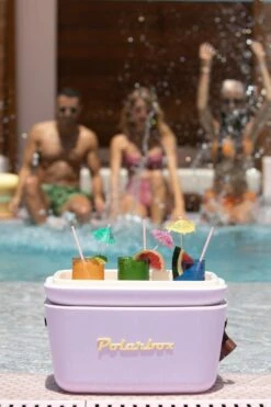 M0DD70 Polarbox 12L Retro Coolbox 4 M0DD70 Polarbox 12L Retro Coolbox -MOUTAIN WAREHOUSE m0dd70 001 polarbox12lretrocoolbox20250122055112 3