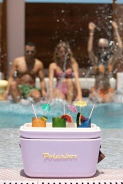 M0DD70 Polarbox 12L Retro Coolbox 5 M0DD70 Polarbox 12L Retro Coolbox -MOUTAIN WAREHOUSE m0dd70 001 polarbox12lretrocoolbox20250122055112 4