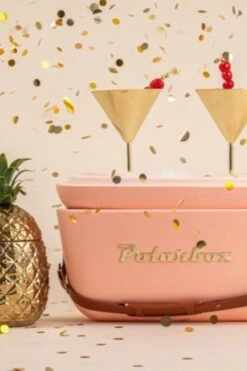 M0DD70 Polarbox 12L Retro Coolbox 18 M0DD70 Polarbox 12L Retro Coolbox -MOUTAIN WAREHOUSE m0dd70 004 polarbox12lretrocoolbox20250604020619 5