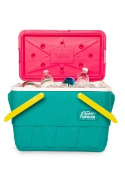 Igloo M962C6 Retro 25QT Picnic Cooler 4 Igloo M962C6 Retro 25QT Picnic Cooler -MOUTAIN WAREHOUSE m962c6 001 retro25qtpicniccooler20241205105334 3