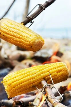 Light My Fire MC34D0 FireLighting Kit 2 Pack 4 Light My Fire MC34D0 FireLighting Kit 2 Pack -MOUTAIN WAREHOUSE mc34d0 001 firelightingkit2pack20250328032106 3