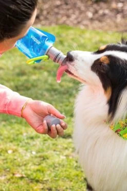 MD29C7 700ml EZ Lick Portable Dog Water Bottle -MOUTAIN WAREHOUSE md29c7 001 700mlezlickportabledogwaterbottle20240723023637 2
