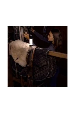 Ledlenser MD5506 ML6 Rechargeable White Light Lantern 5 Ledlenser MD5506 ML6 Rechargeable White Light Lantern -MOUTAIN WAREHOUSE md5506 001 ml6rechargeablewhitelightlantern20230412033628 4